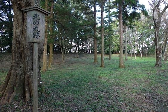 File:Tamaru8.jpg