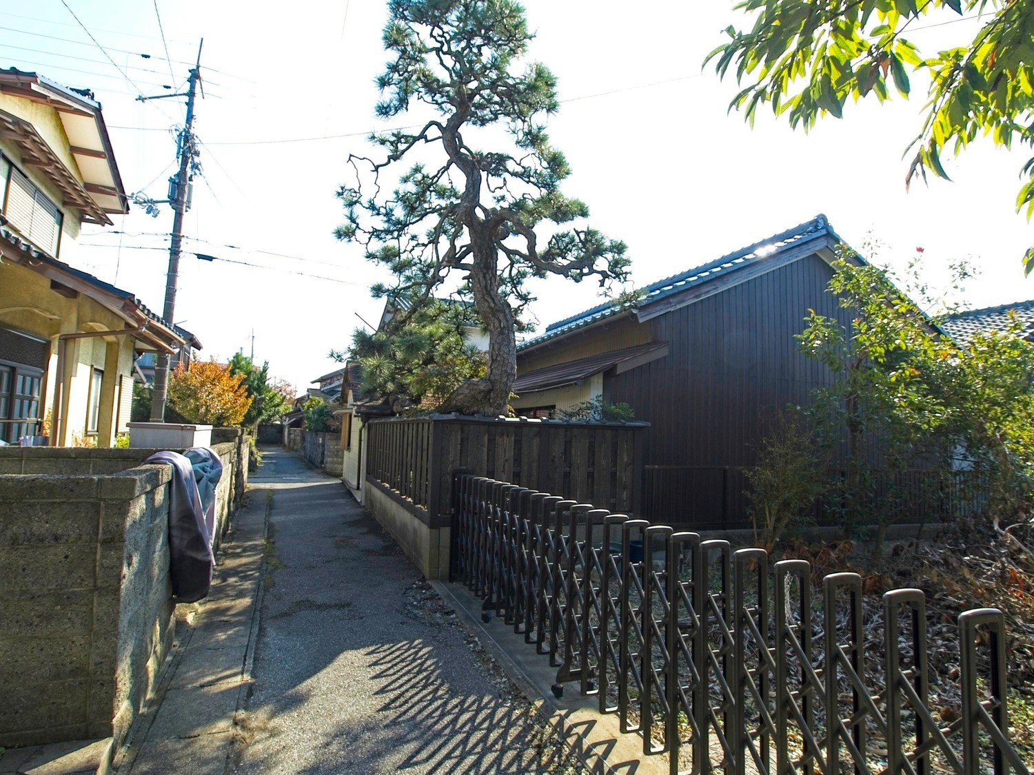 Ejimahikone2.jpg