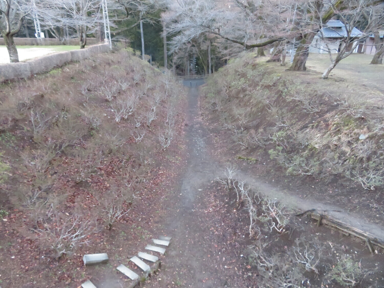 InaKasugajou (3).JPG