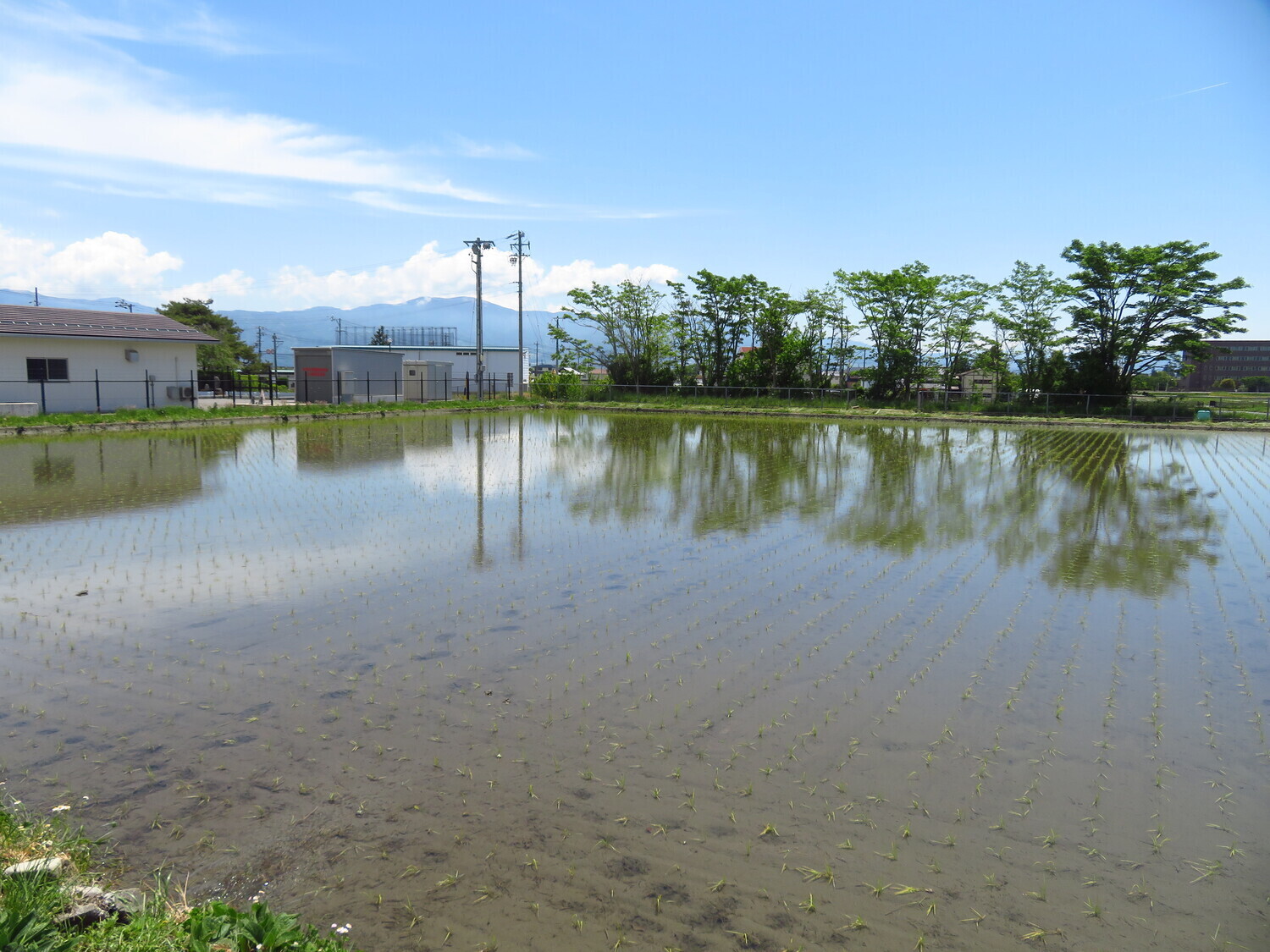 IwaokaYakata (4).JPG