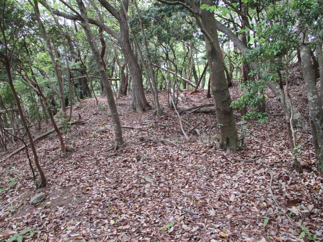 MikawaKoganejou (11).jpg