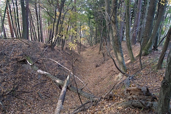 File:Haibara16.jpg