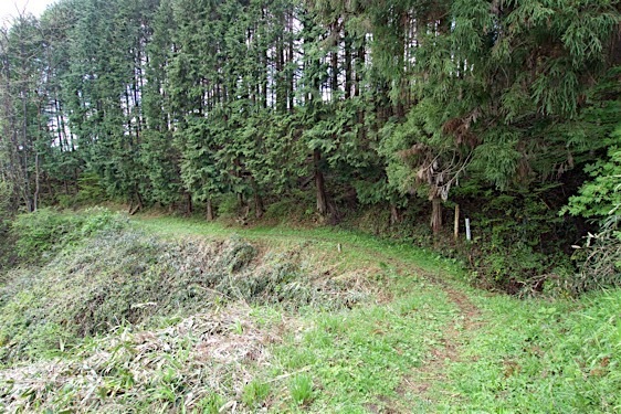 File:Iwabitsu6.jpg