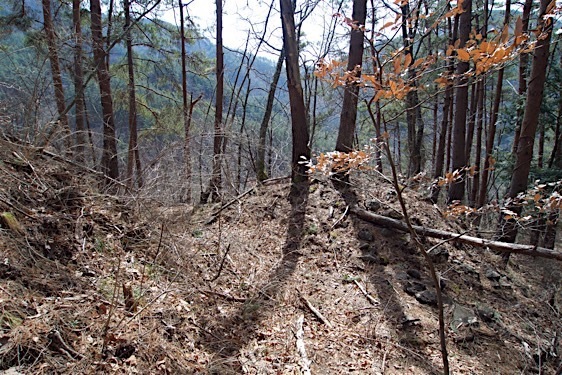 File:Kuma15.jpg