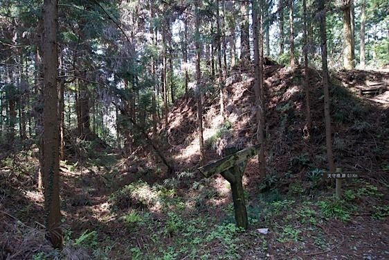 File:Mumo7.jpg