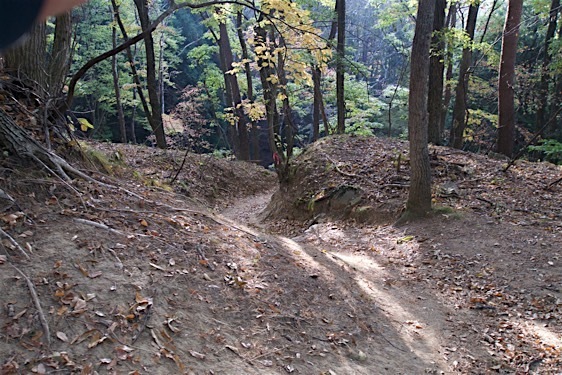 File:Haibara7.jpg