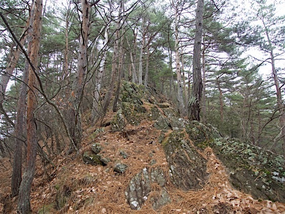 File:Matsuoko31.jpg