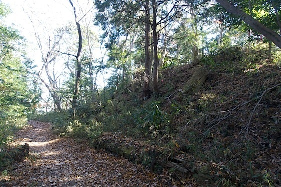 File:Tsukui27.jpg