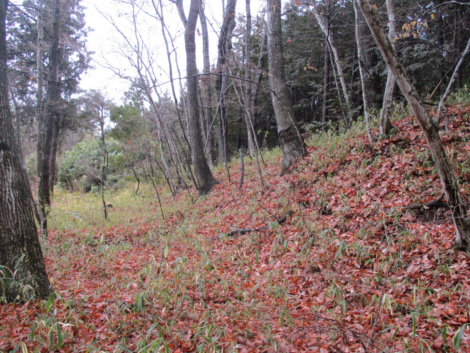 KaiOhtsuboRui (16).JPG