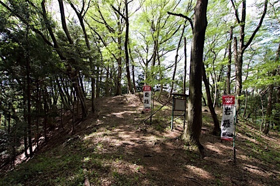 Gobara1.jpg