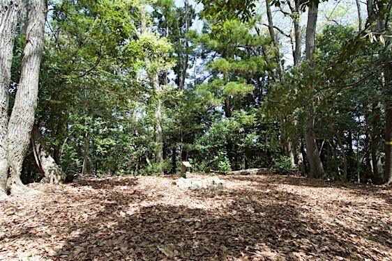 File:Jofukuji11.jpg
