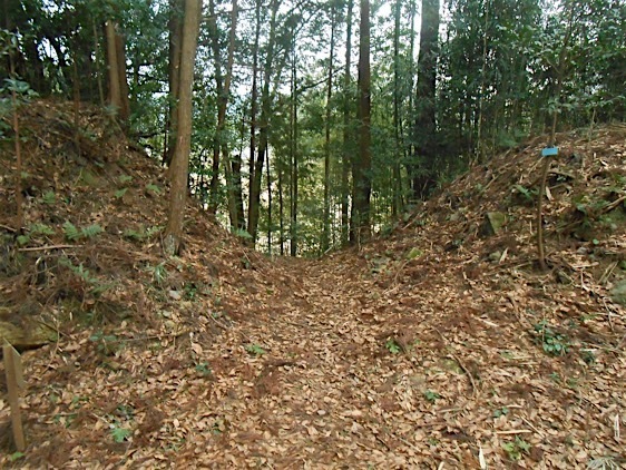 Kashiwara1.jpg