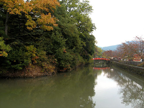Tsutsuji1.jpg