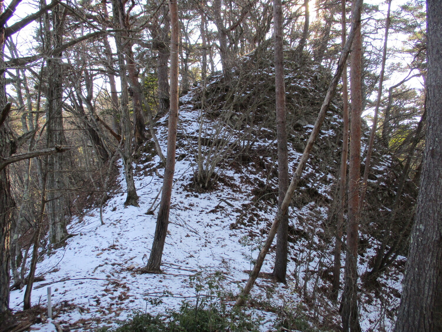 SarukoyaToride (1).JPG