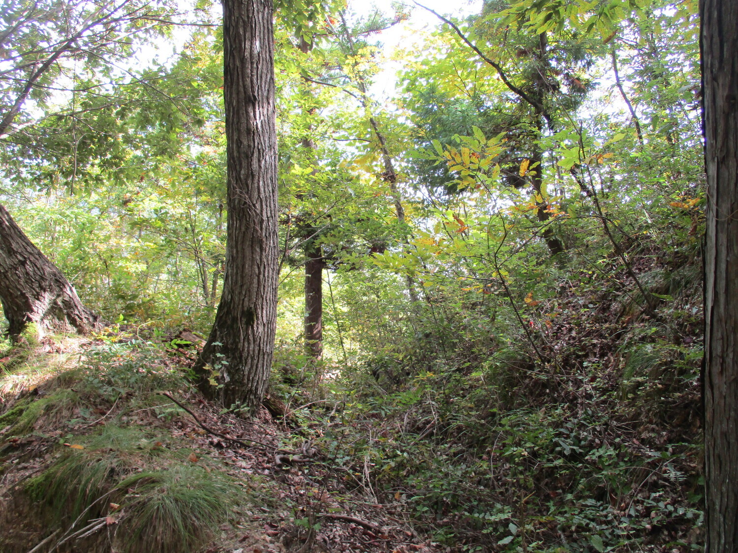 AzumiNakamurajou (1).JPG