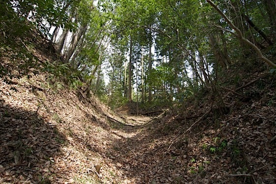 File:Mumo13.jpg