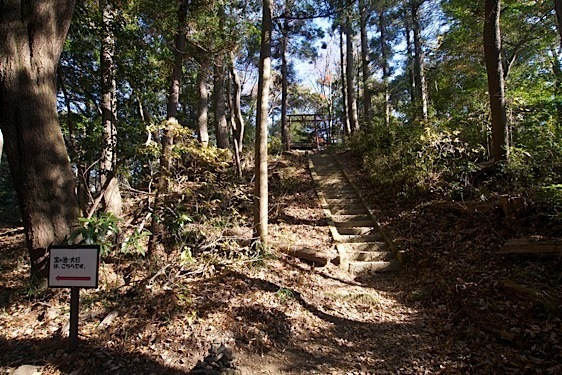 File:Tsukui26.jpg