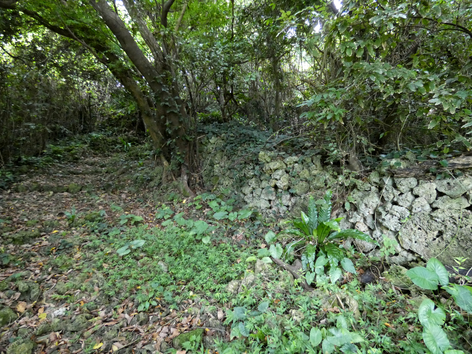 Komesu Castle Ray 1.jpg