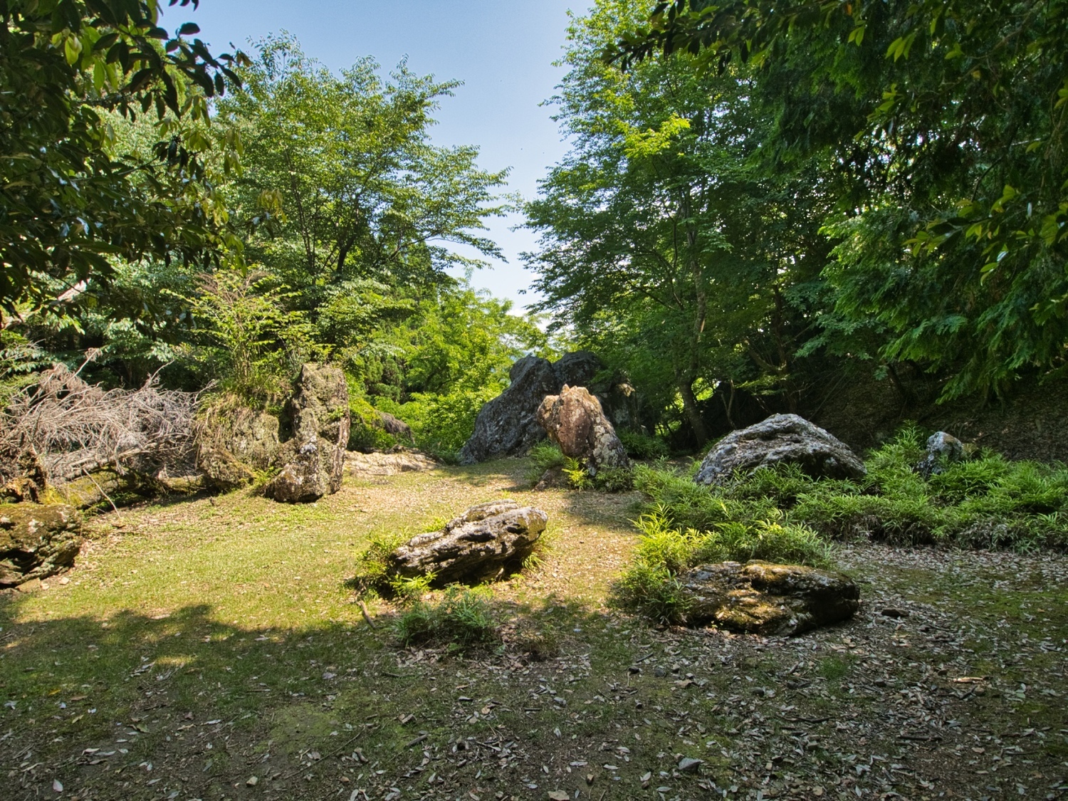 Haiyama1.jpg