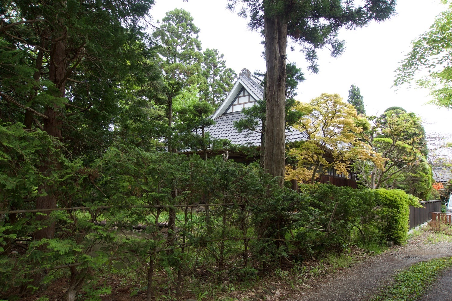 Kanegasaki sato1.jpg