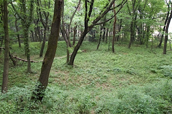 File:Yamagami15.jpg