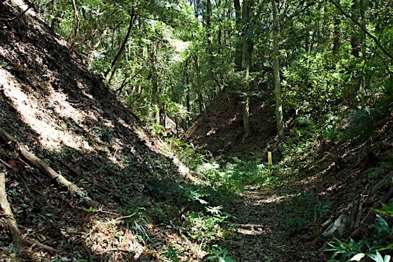 File:Obata17.jpg
