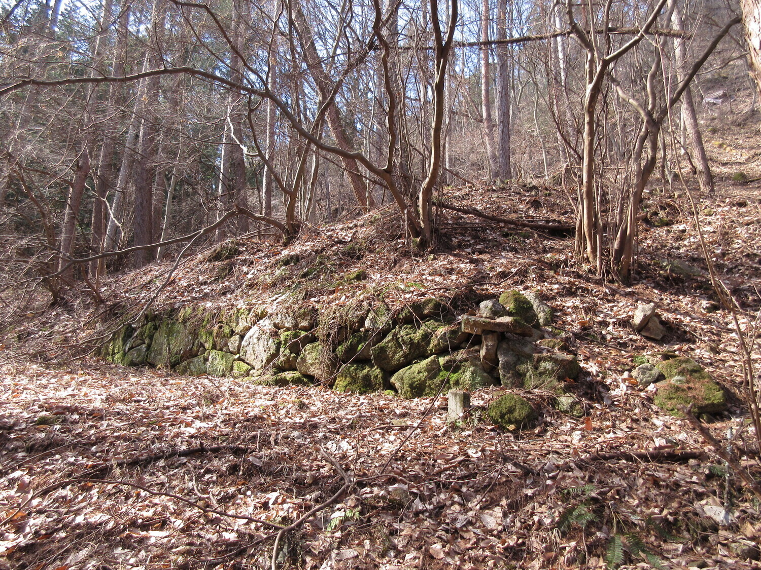 Shiodajou (1).JPG