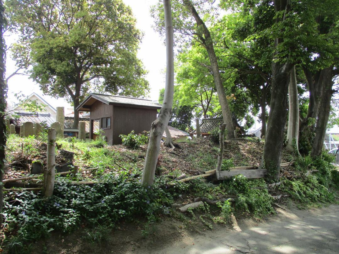 UewadaToride (3).jpg
