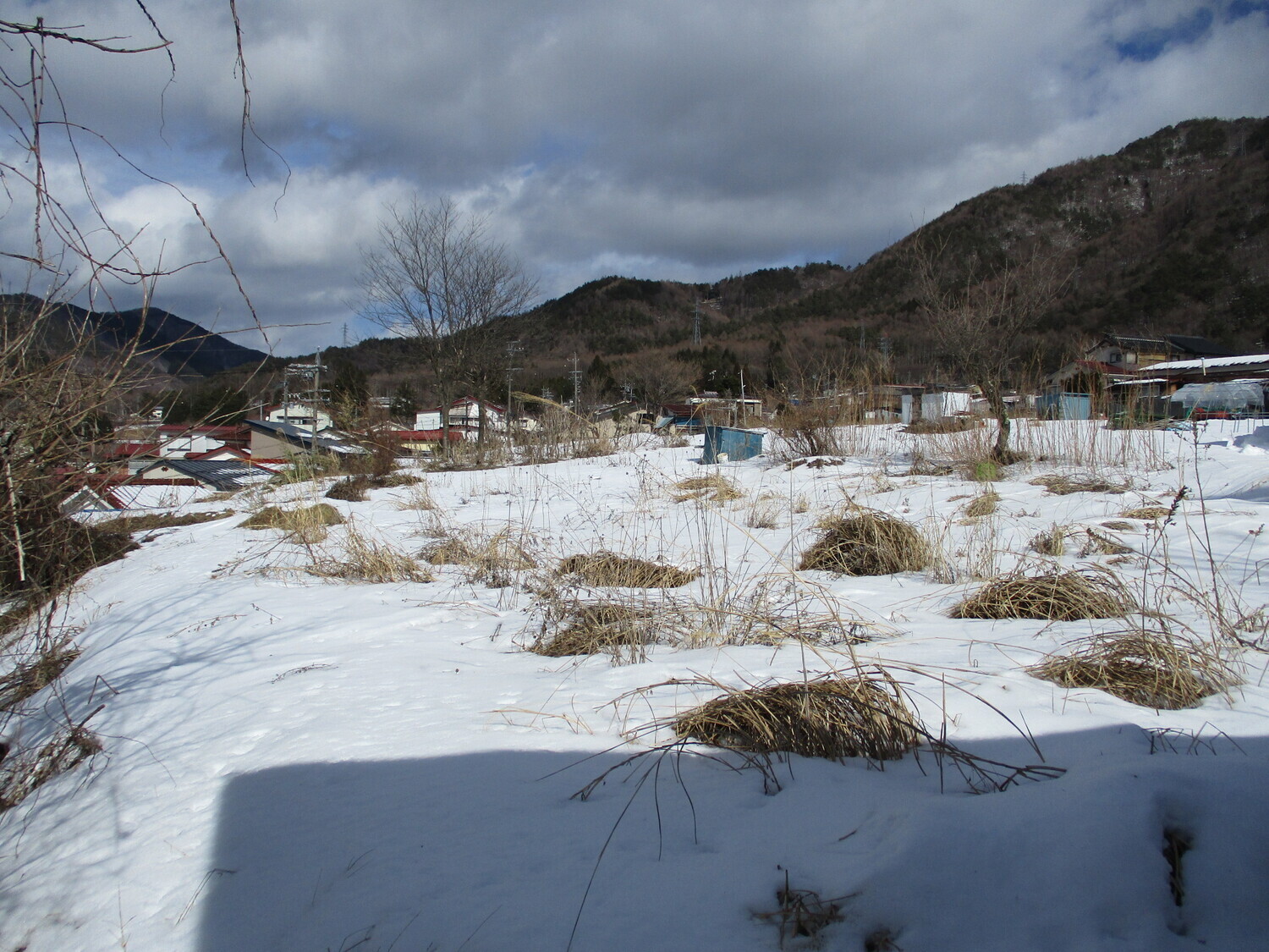 FuruhataYakataJcaastle (8).JPG