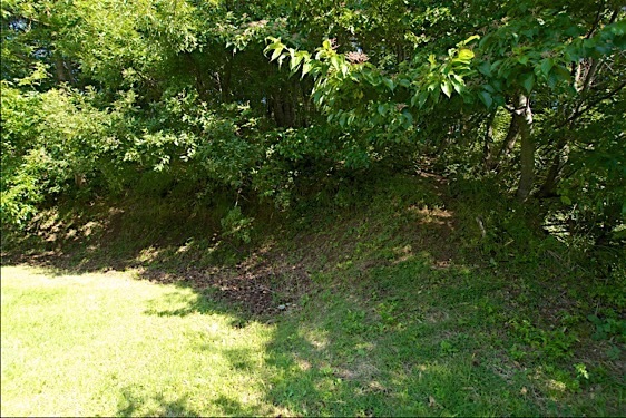 File:Sasao1.jpg
