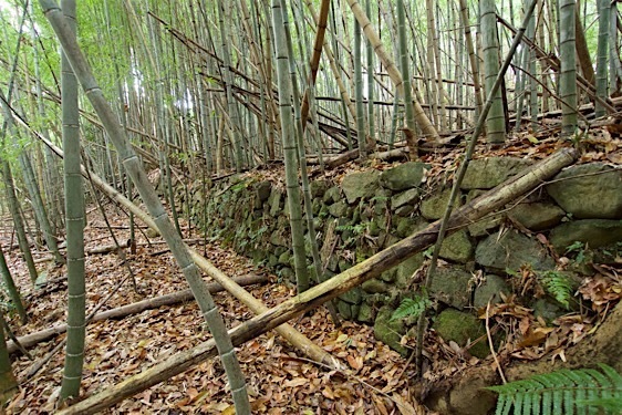 Akutagawasan19.jpg