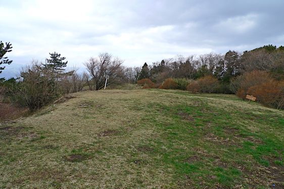 File:Ashigara6.jpg