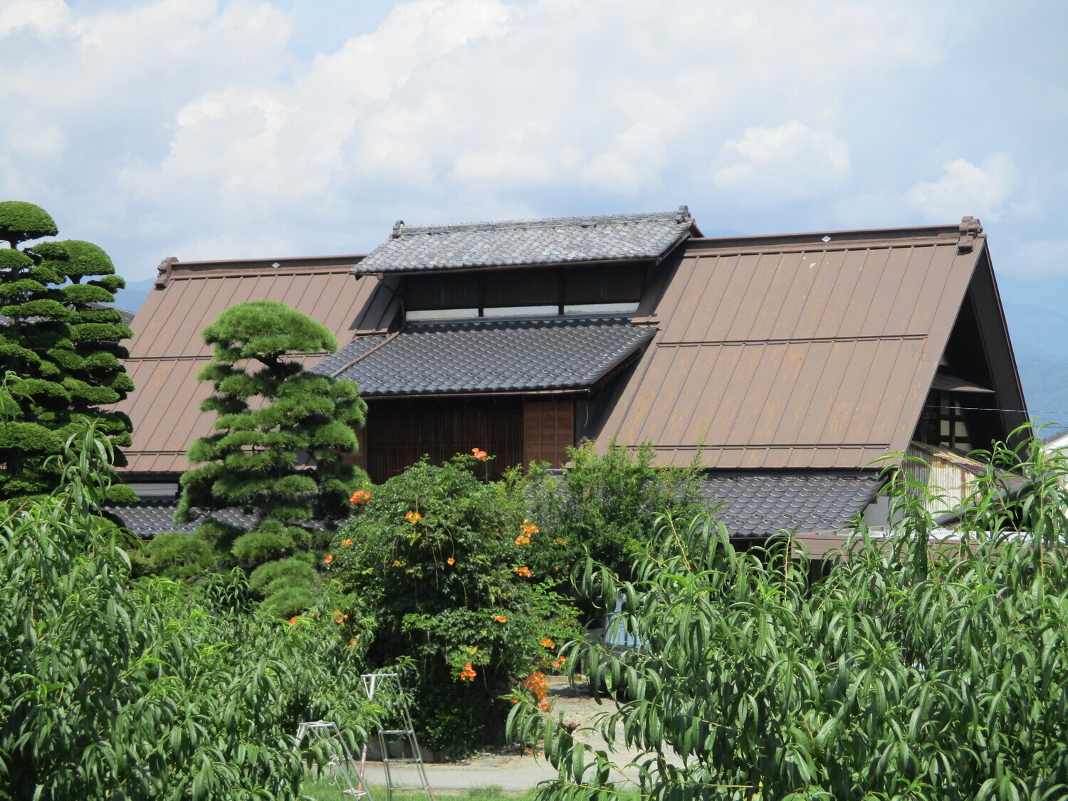 KaiHayakawaYashiki (2).JPG
