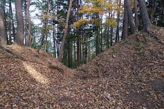 File:Haibara17.jpg