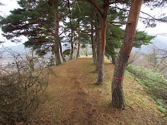 File:Sanada14.jpg