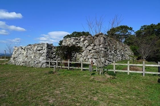 File:Tamaru24.jpg