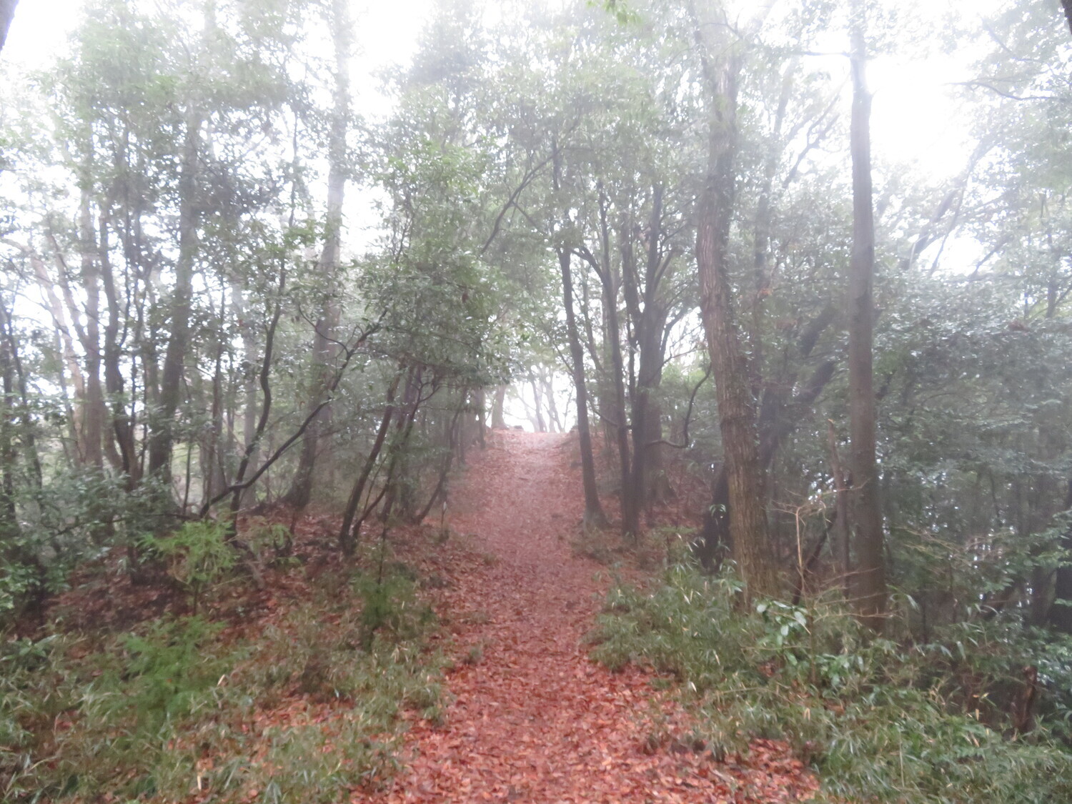 Hatsuzawajou (1).JPG