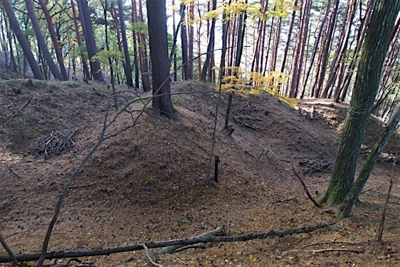 File:Haibara22.jpg