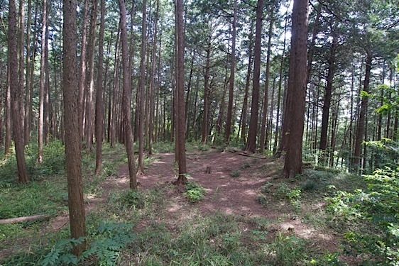 File:Katsunuma8.jpg