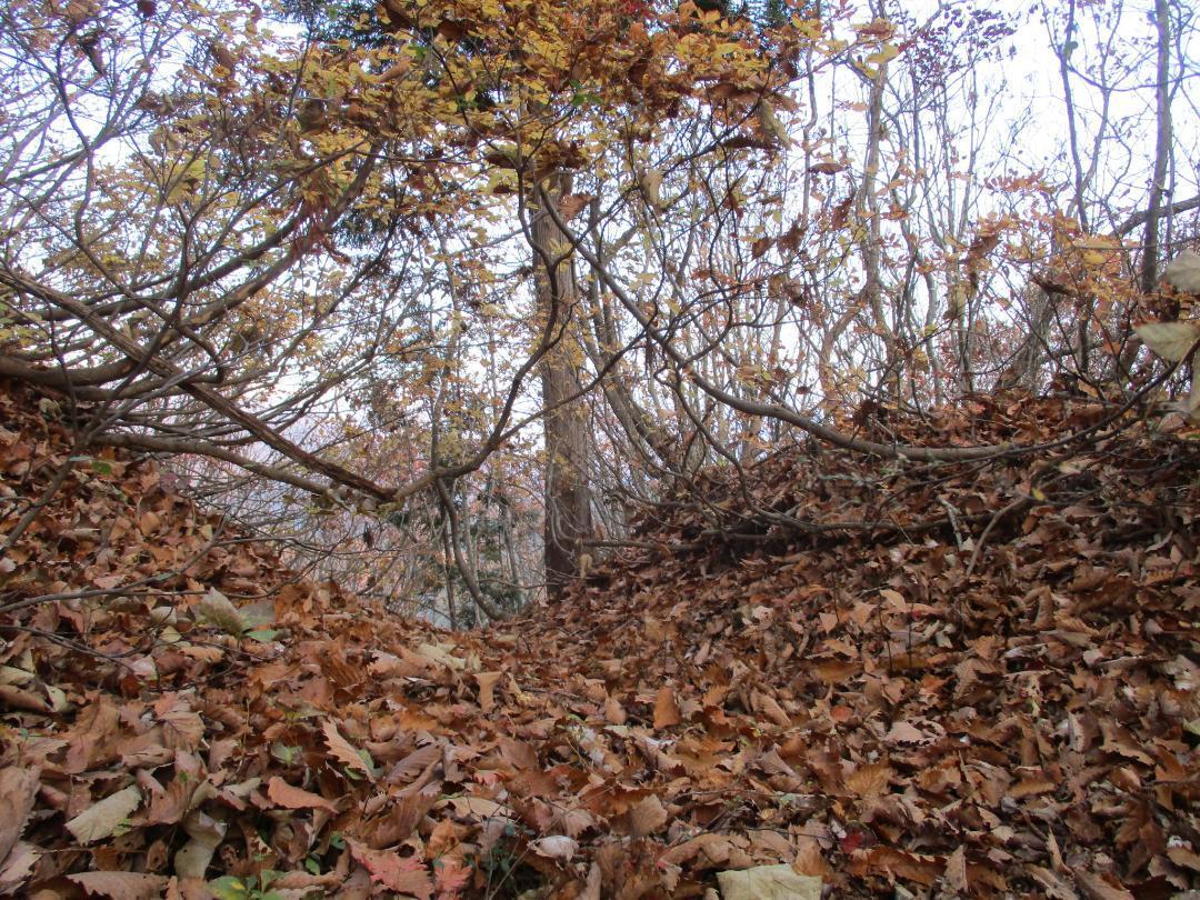 AzumiAkibaToride (3).jpg
