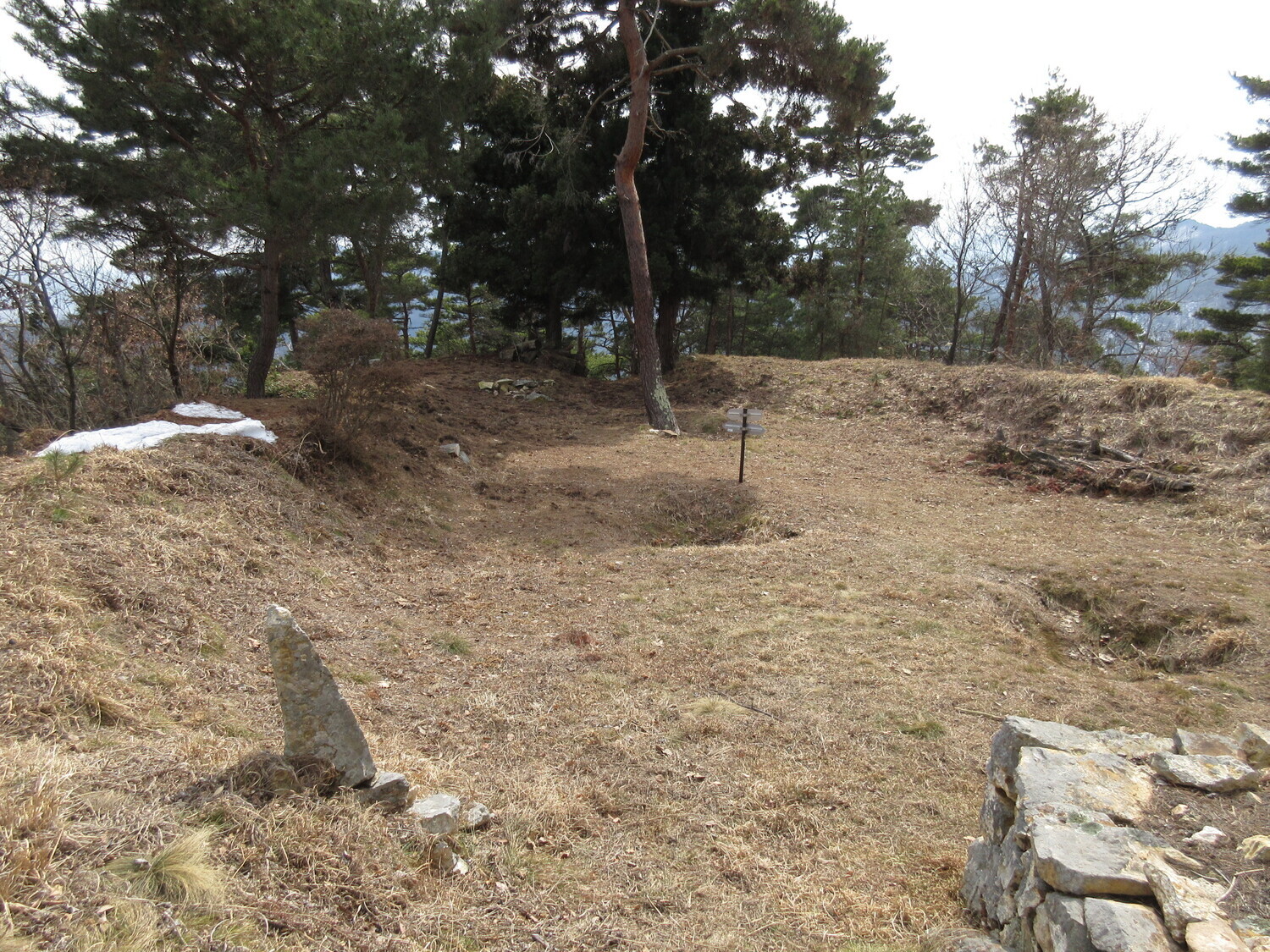 MurakamiDeurajou (1).JPG