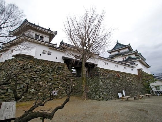 Wakayama12.jpg