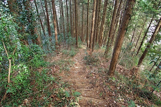 File:Tokura22.jpg