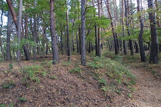 File:Hayashioh27.jpg
