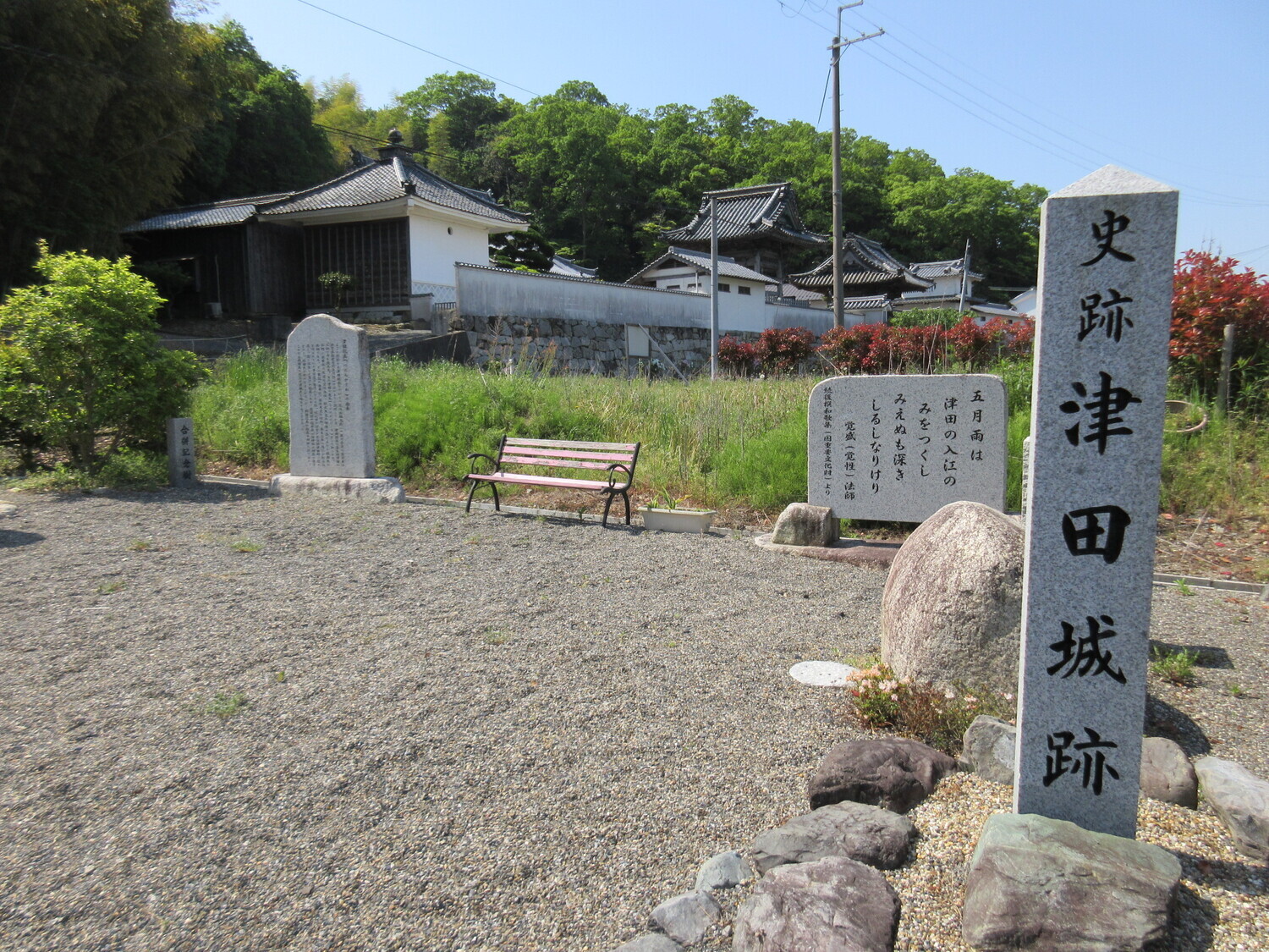 GamouMinamitsudajou (3).JPG