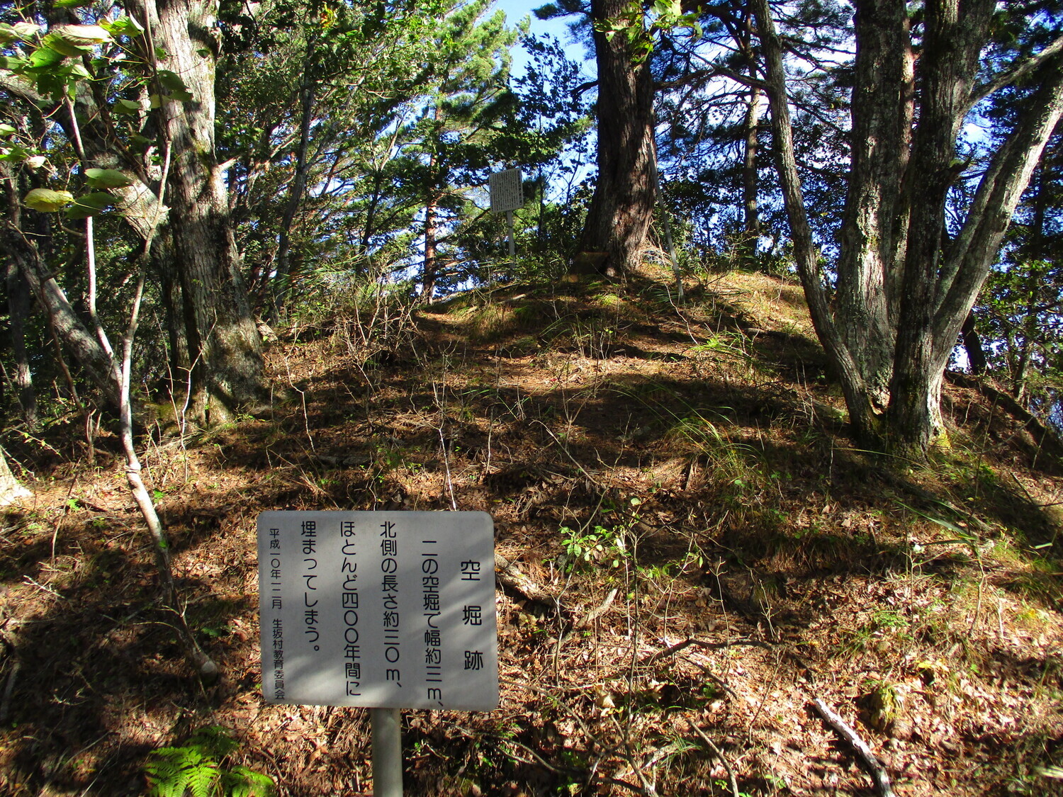 Takamatsuyakushijou03.JPG
