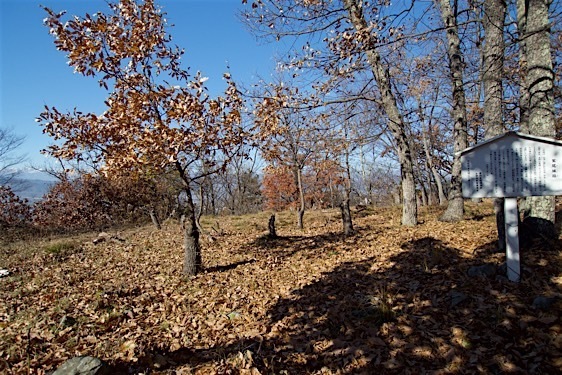 File:Washio31.jpg