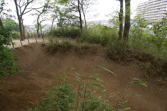 File:Kogane9.jpg