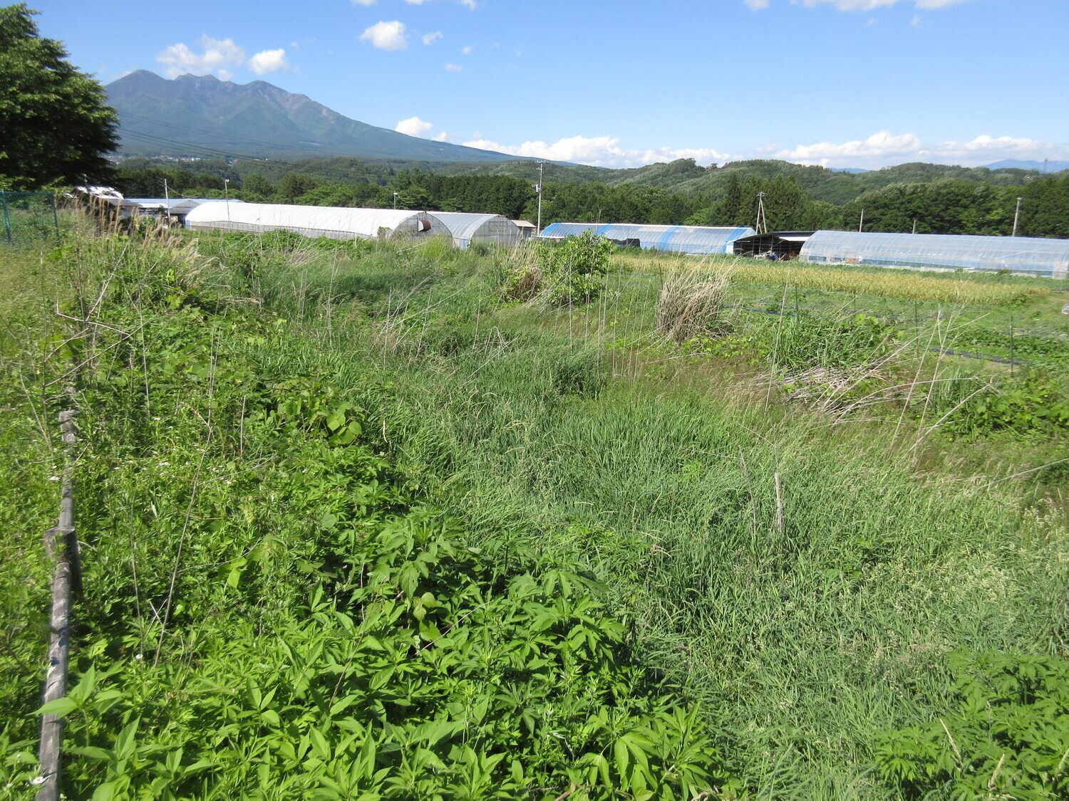 KyouraishiminbuYakata (2).JPG