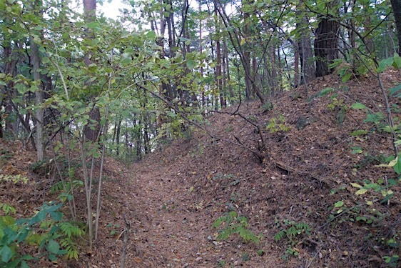 File:Hayashioh26.jpg